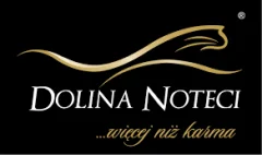 Dolina Noteci