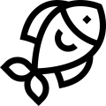 Рибам